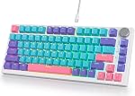 Fogruaden 75% Clavier de jeu mécanique filaire 75 Pourcentage de porte-clés à joint à chaud, RGB Allumé en arrière 82 Clés TKL Clavier mécanique, NKRO Clavier compact avec bouton (Dark)