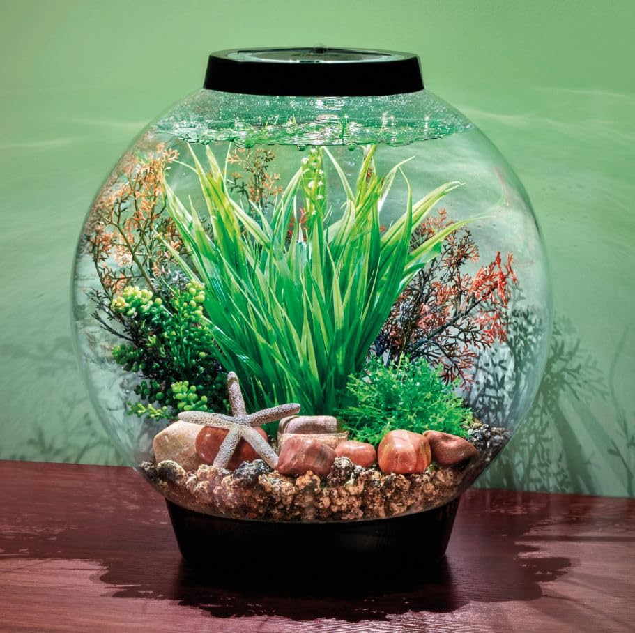 biOrb Decor Value Set 30L Palau