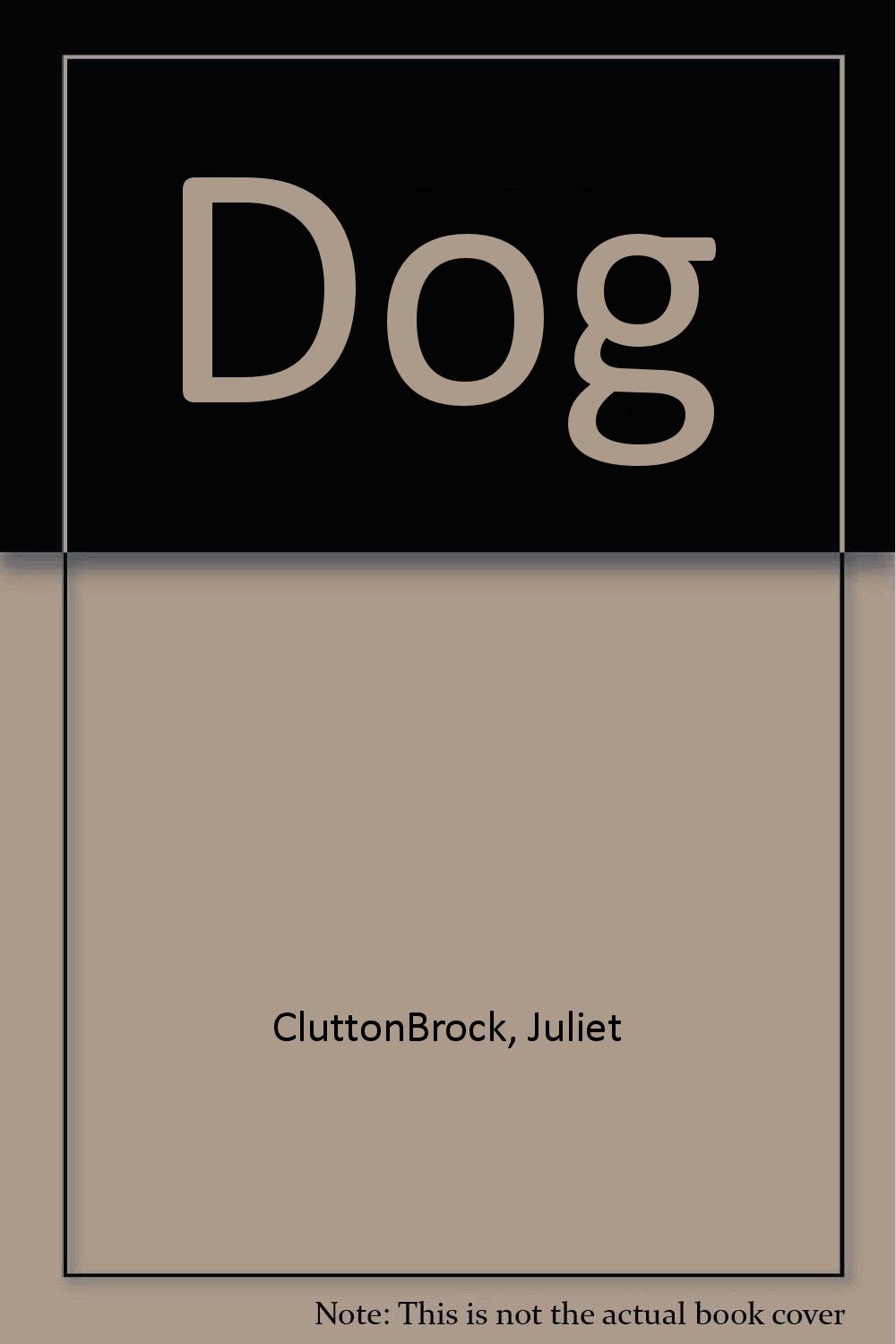 Dog [Hardcover] Brock, Juliet
