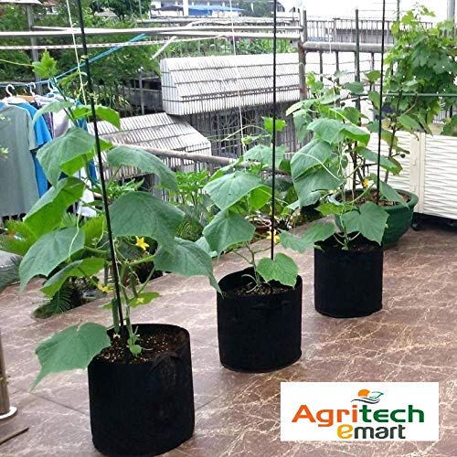 Image of Agritech Black Nursery Cover /Plant Grow Bag - 10 Nos (20x20, 10)