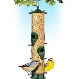 Bird Feeders for Outdoors (Green) Squirrel Proof Hanging Bird Feeder with Locking Lid & Adjustable Hanger, Chew-Proof, Weather Resistant 15 Inches 6 Port