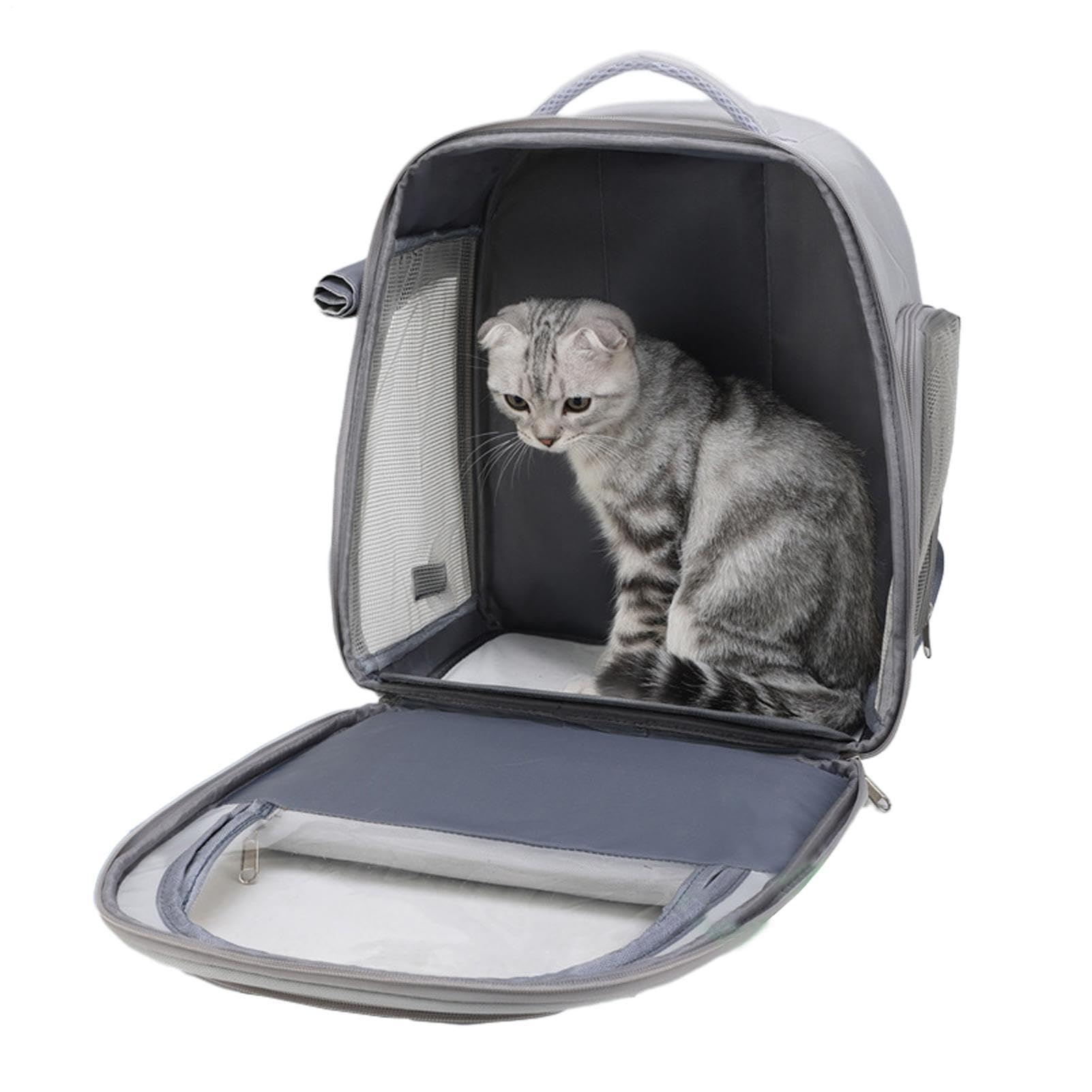 Zaino per gatti, zaino a bolle per animali domestici Zaino porta cani di