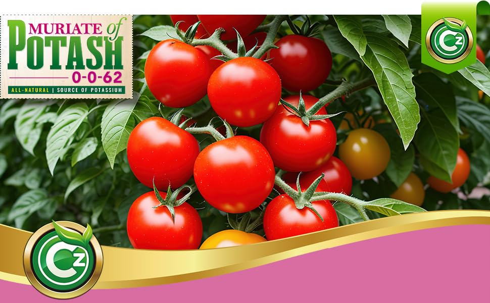 Miniatura 7 de Muriate of Potash 0-0-62 Fertilizante fabricado en Estados Unidos  MOP Potasio Plant Food para plantas de interiorexterior y jardines de flores