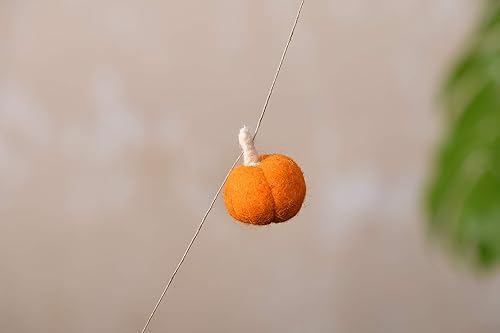 Miniatura 3 de De Kulture - Guirnalda de frutas de calabaza rellena de fieltro de alta calidad 100% biodegradable para Halloween, árbol de Navidad, colgar en la