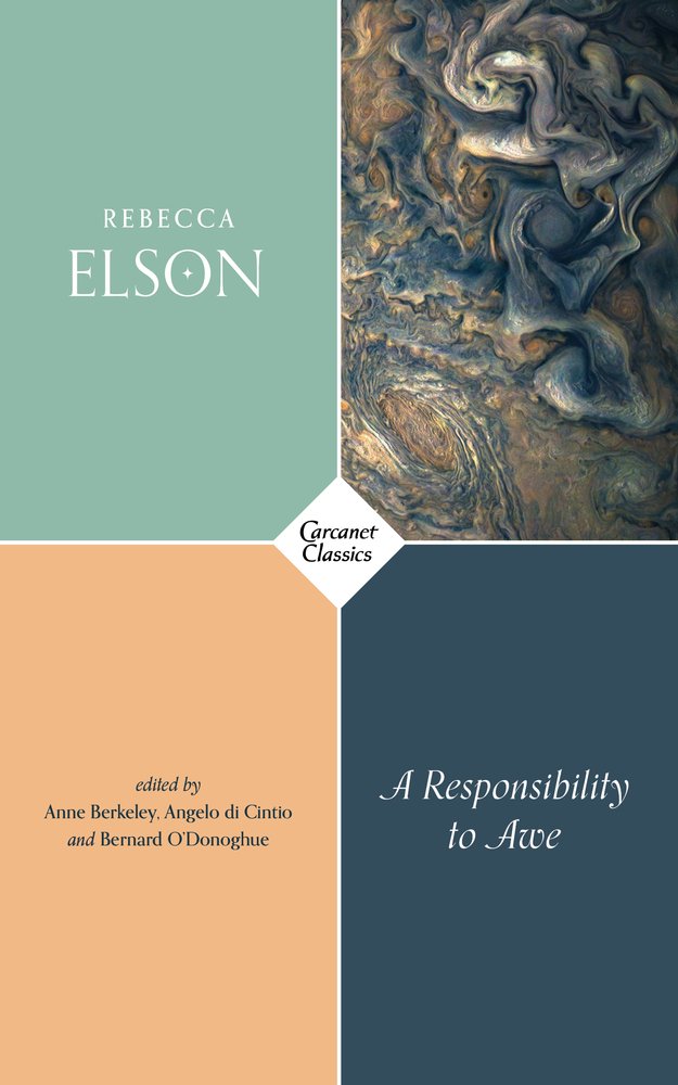 A Responsibility to Awe by Rebecca Elson PAPERBACK 9781784106553