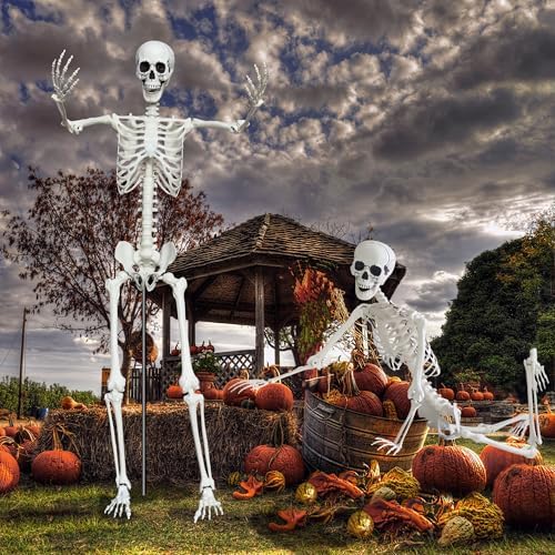 61PqTwSqmQL._AC_ Skeleton Decoration Halloween Skeleton Life Size Moving Skeleton Full Body Skeleton Realistic Bones with Moving Joints for Halloween Indoor Outdoor 2.5M