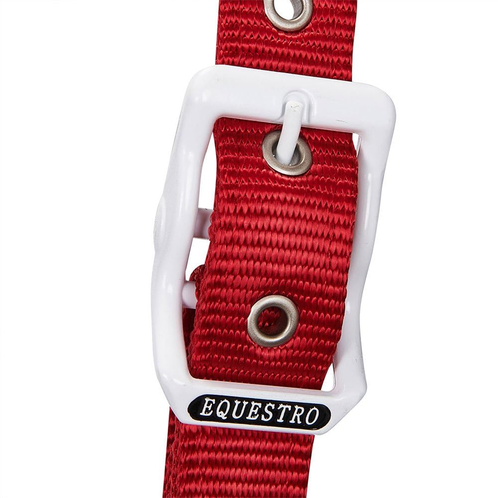 CAVEZZA "FLAGGY" E LUNGHINA (COB, VERDE/BIANCO/ROSSO)