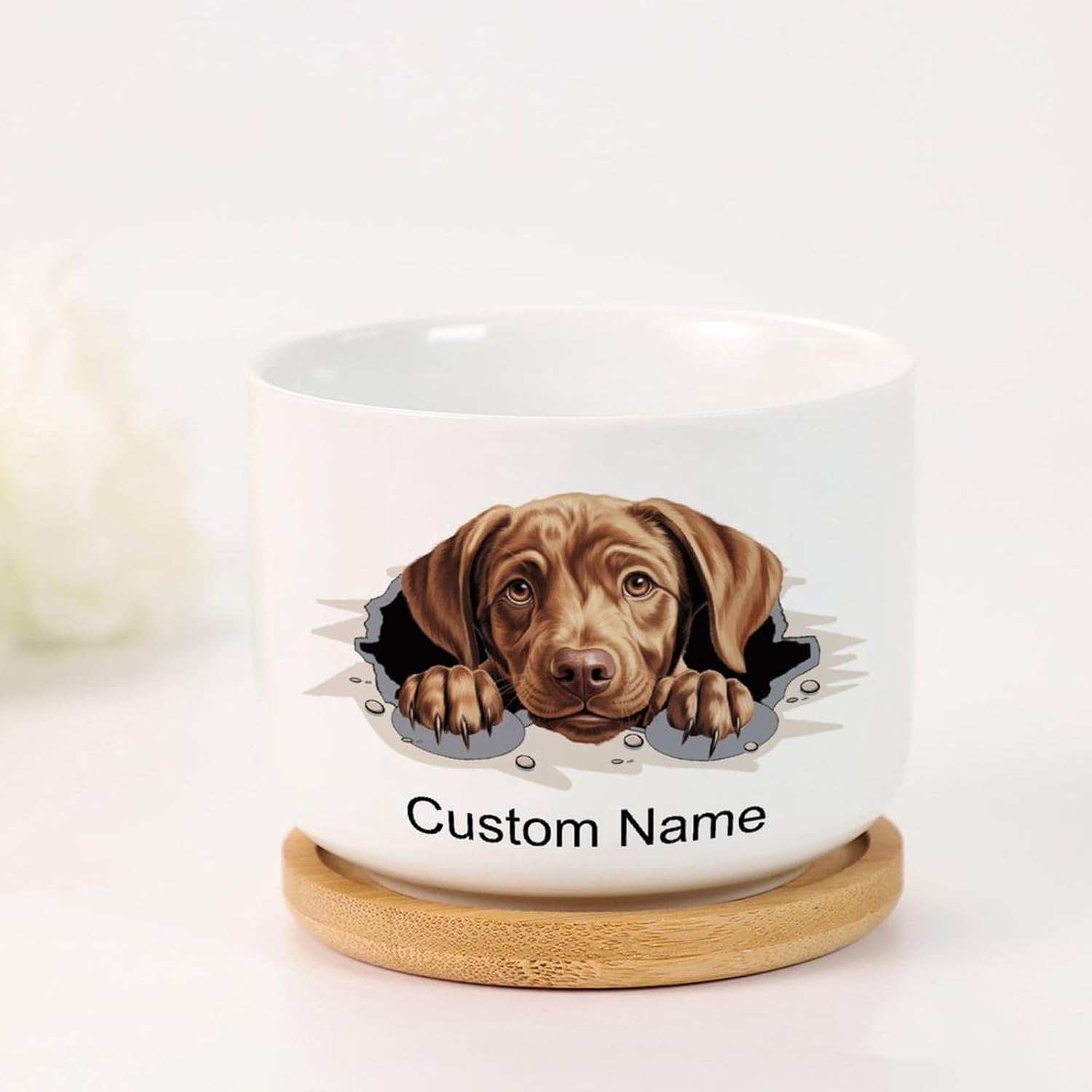 3 Pack Custom Ceramic Plant Pot Labrador Retriever Small Ceramic Planters for Indoor Labrador Retriever Peeking Dog in Crack Succulents Plants Live with Pot Dog Owner Plant Pot