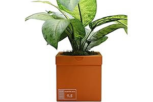 Nike Planters with Drainage Hole