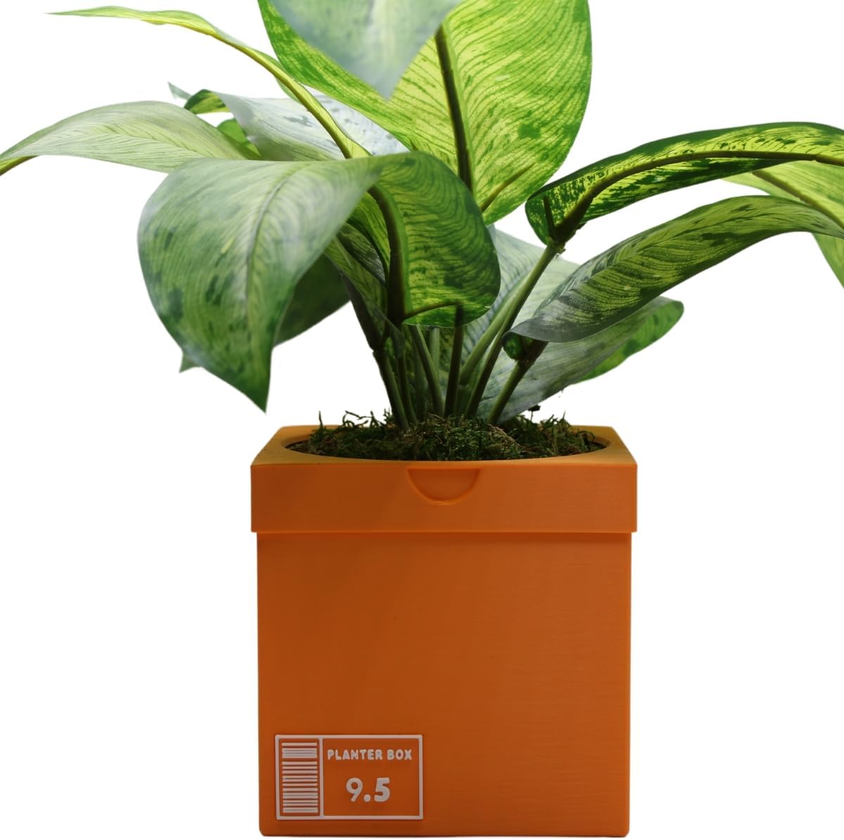 Sneakers Box Planter Pot 3D Printed - Orange Sneakers Box Decor- Plant Pot for Indoor Plants - Unique Planter for Indoor with Drainage Hole- Made in USA