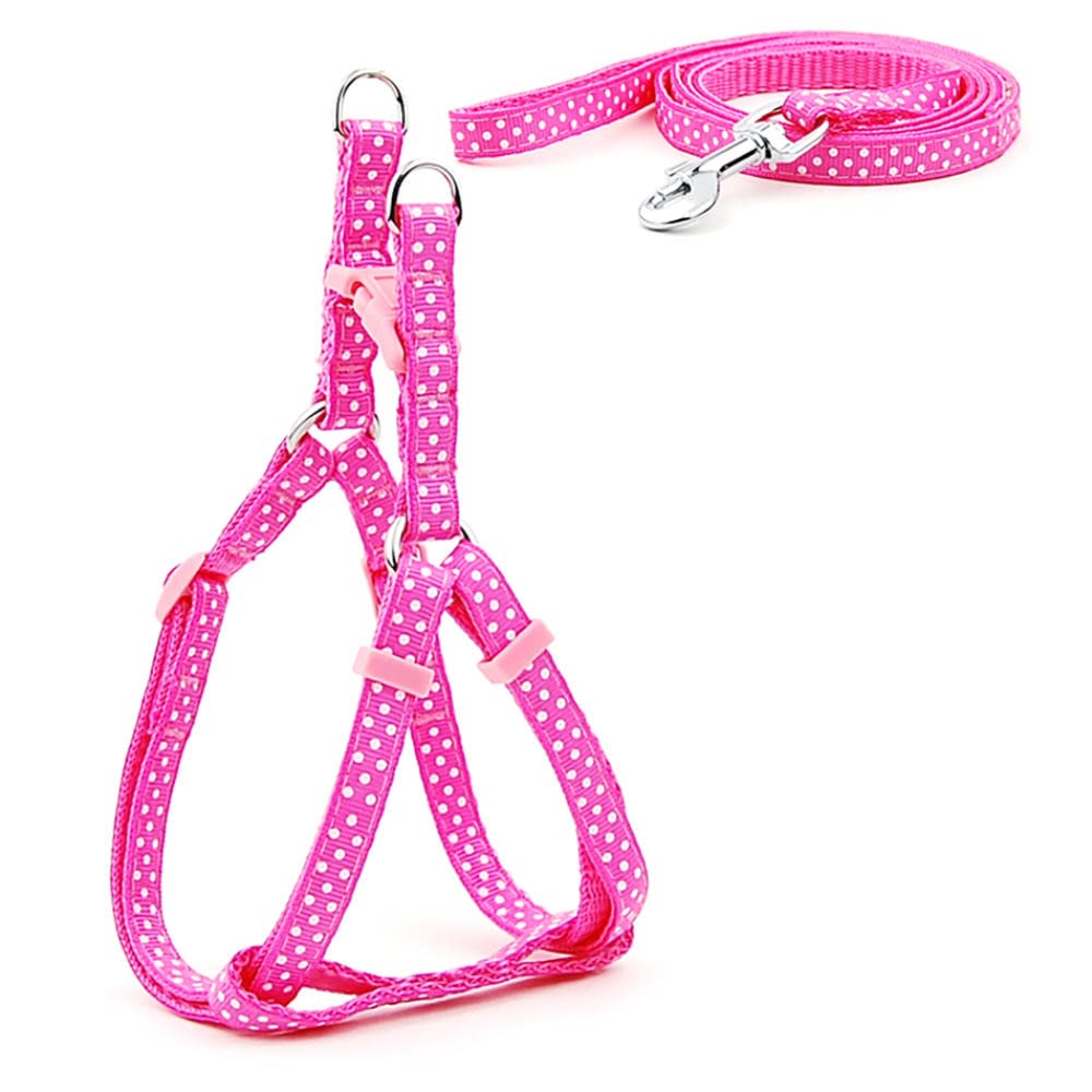 pettorina per cani, Set di guinzagli for cani, con stampa, for piccola taglia, for passeggiate gatti, 3 m(18,S)