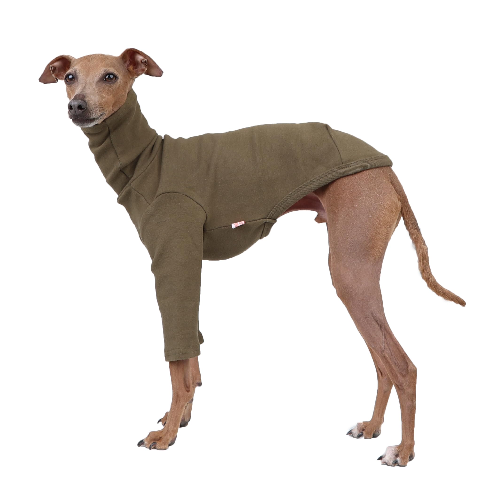 D Doggy Star Italian Greyhound Clothes Flexible T Shirts Whippet for Dogs (3XL,Solid Khaki) โ image 1