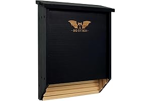 BIGBATBOX - The Bat Maniac Kit to Get Bats In Your Bat House