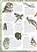 The Australian Animal Atlas