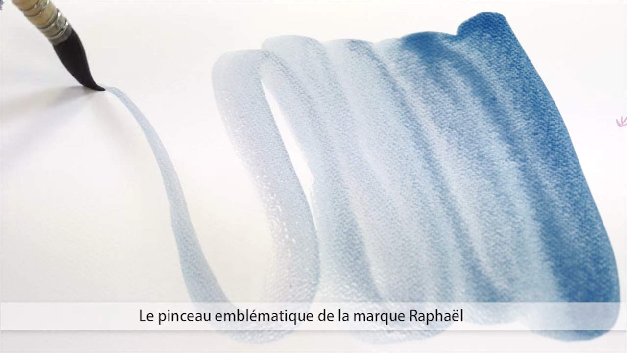 Raphael Pinceau Lavis Aquarelle Petit Gris Pur Monte sur Plume Serie 803 No.1 + 1 Pinceau martre
