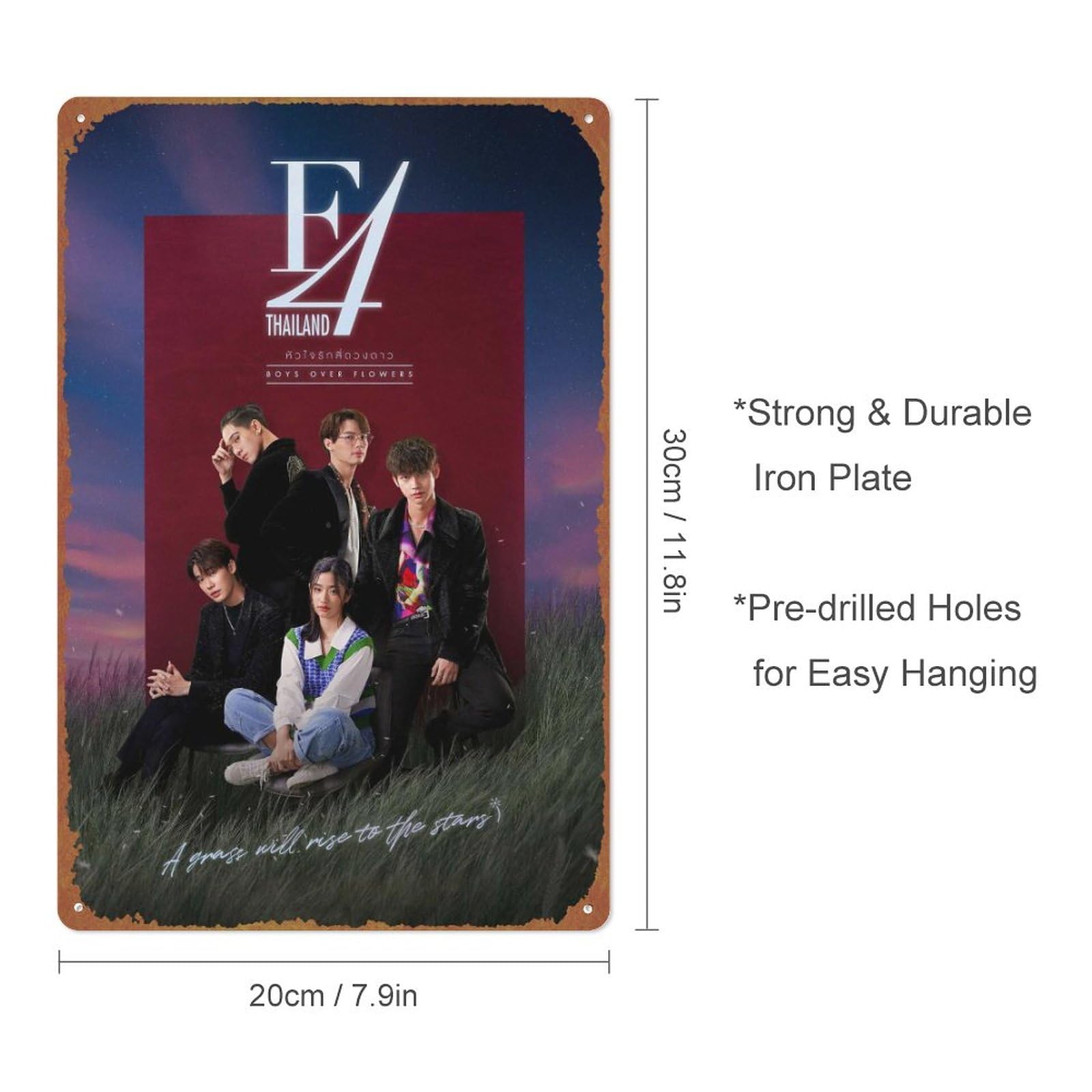 F4 Thailand: Boys Over Flowers Unique Metal Vintage Wall Decor
