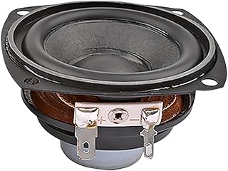 WSF-Speaker 2pcs 2.5 Inch Magnetic Loudspeaker 4ohm 10W Subwoofer Deep Bass Speaker Multimedia Neodymium DIY Home Theater 66 MM Full Range