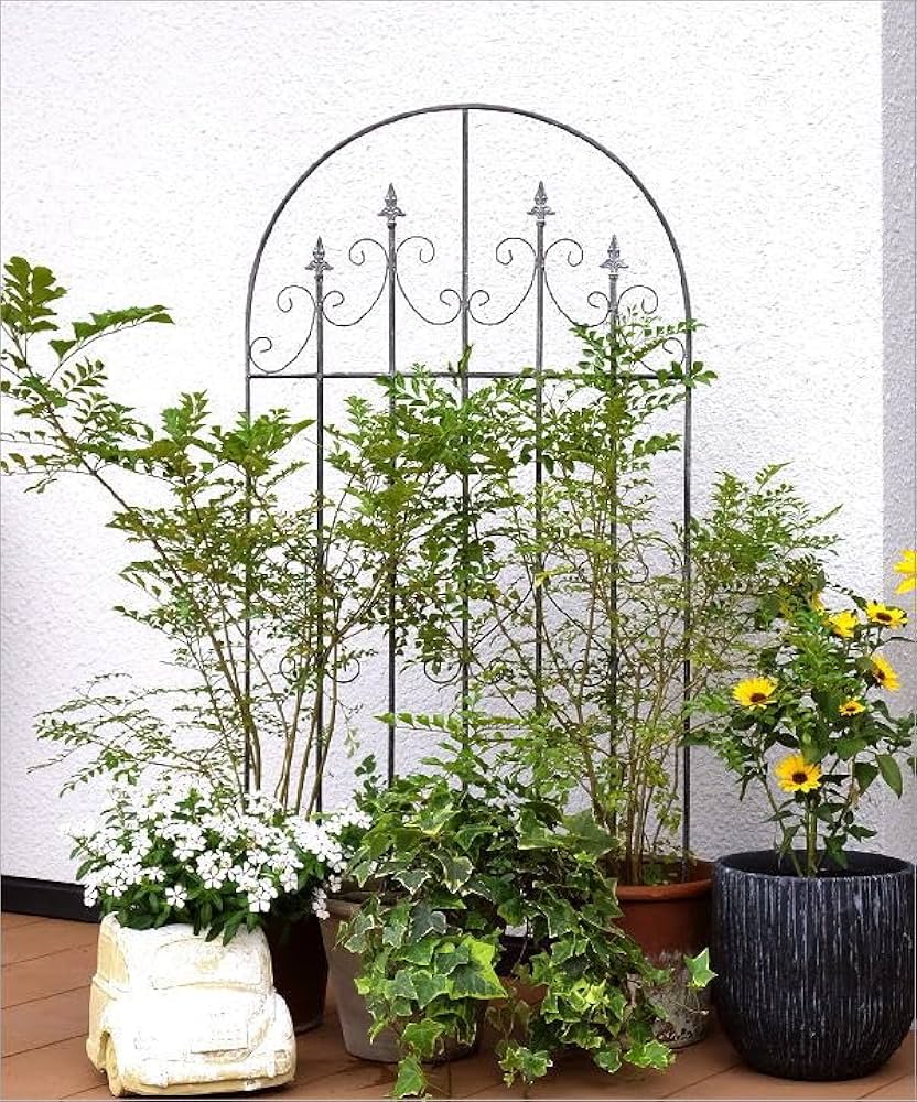 Amazon | ガーデンフェンス トレリス おしゃれ かわいい 仕切り