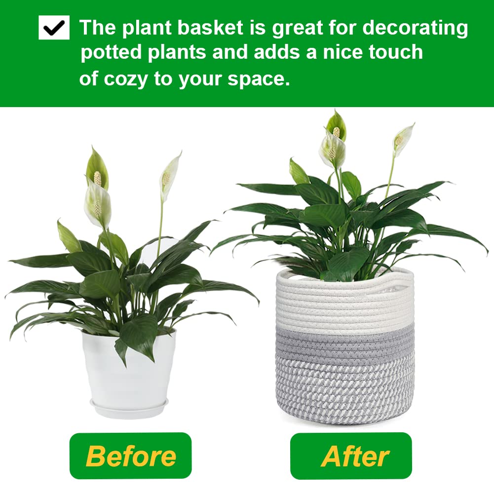tenn well 20cm Plant Pot with Liner - Image 2