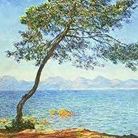 Amazon.co.jp: クロード・モネ作の睡蓮の池 額入りサイズ:60.2x52.14cm