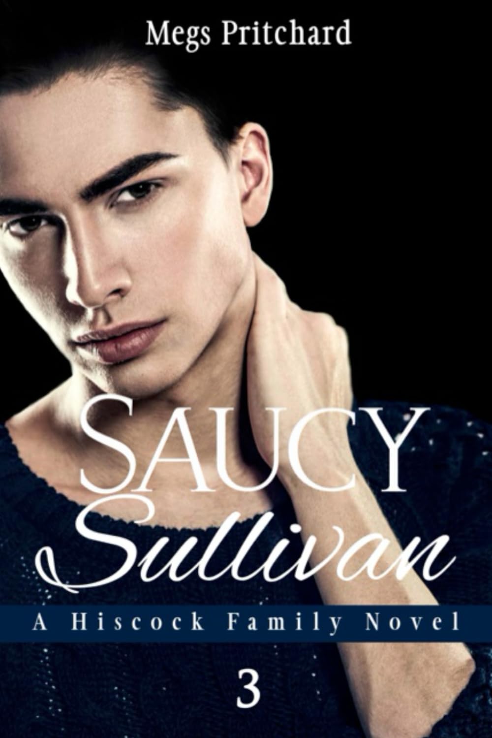 Saucy Sullivan: A Hiscock Family Novel