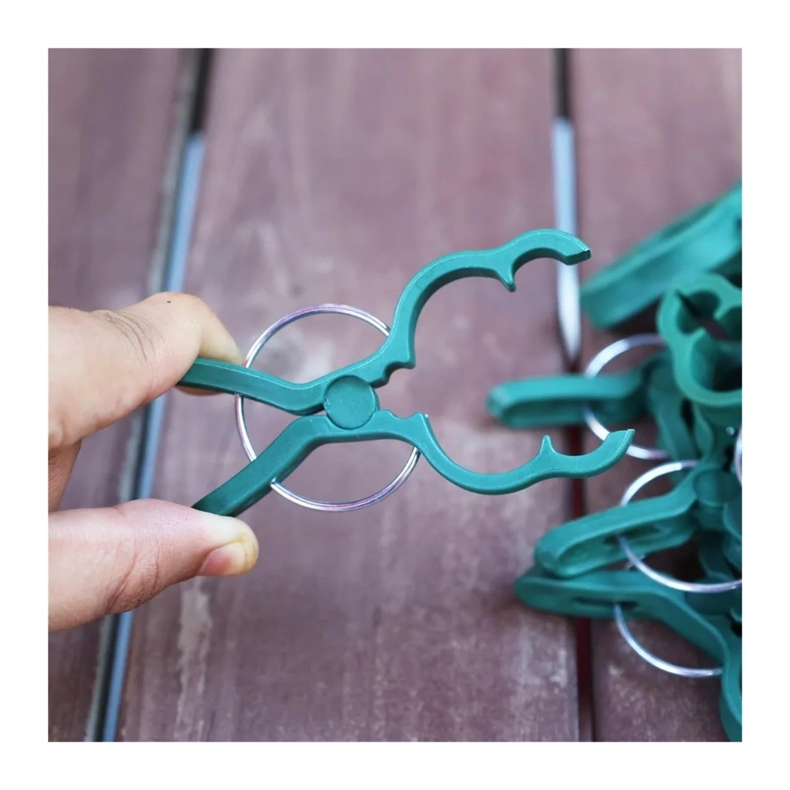Clip de Fixation for Plantes de Jardin 50/10 pièces