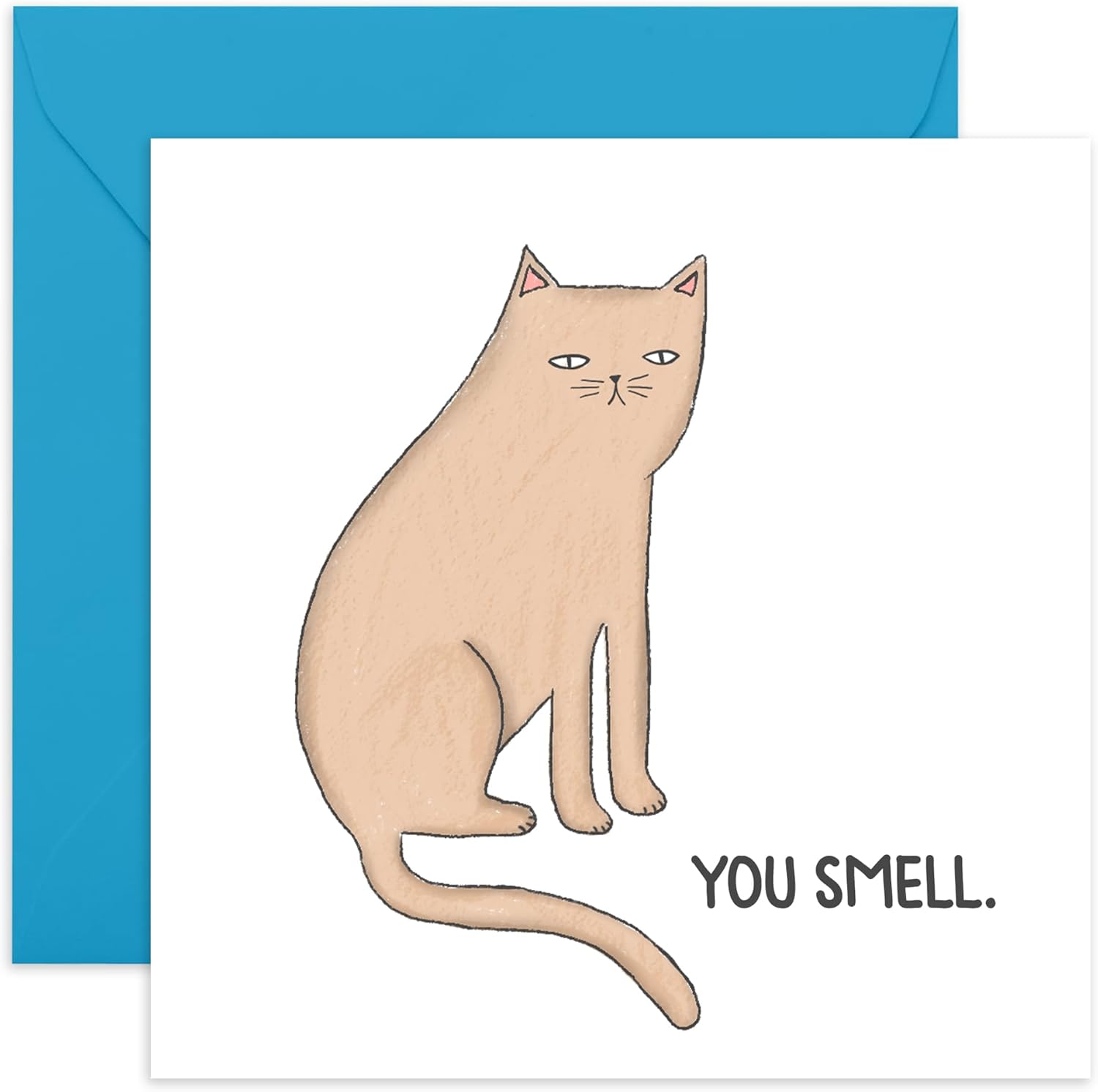 Prntable Brthday Card Funny Brthday Card Happy Brthday From Cat, - Etsy - View #8