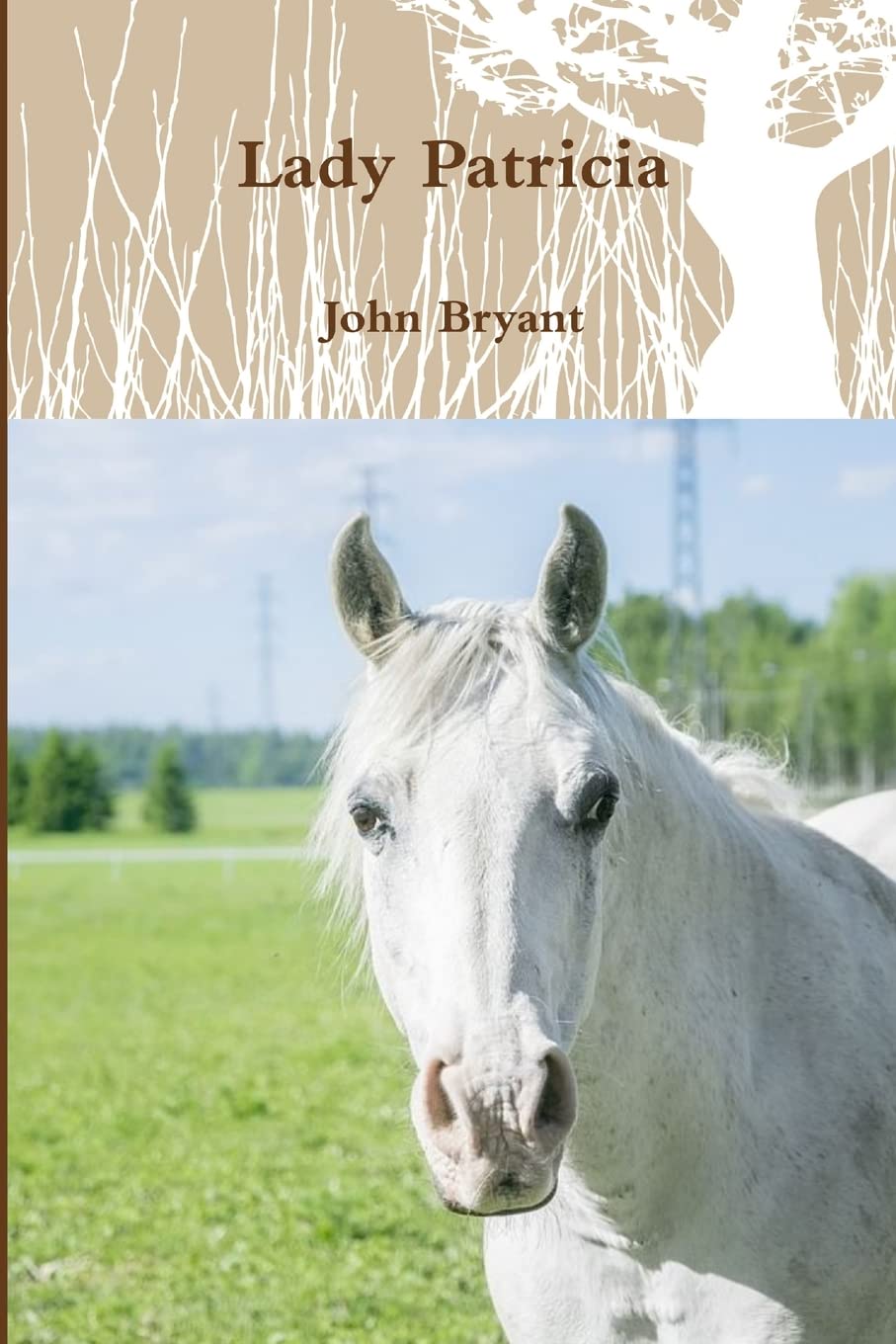 John Bryant - Lady Patricia - Paperback Book