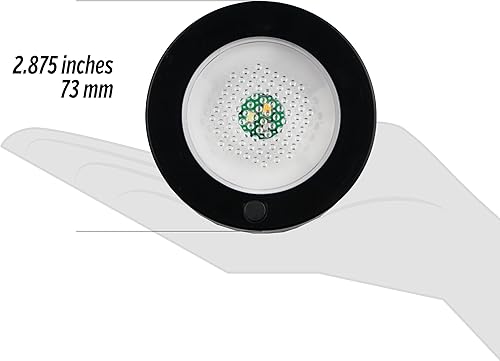 Vista 12 de Pumpkin Masters – Kit de cortar calabazas, el preferido de los niños de Estados Unidos, individual, Coral