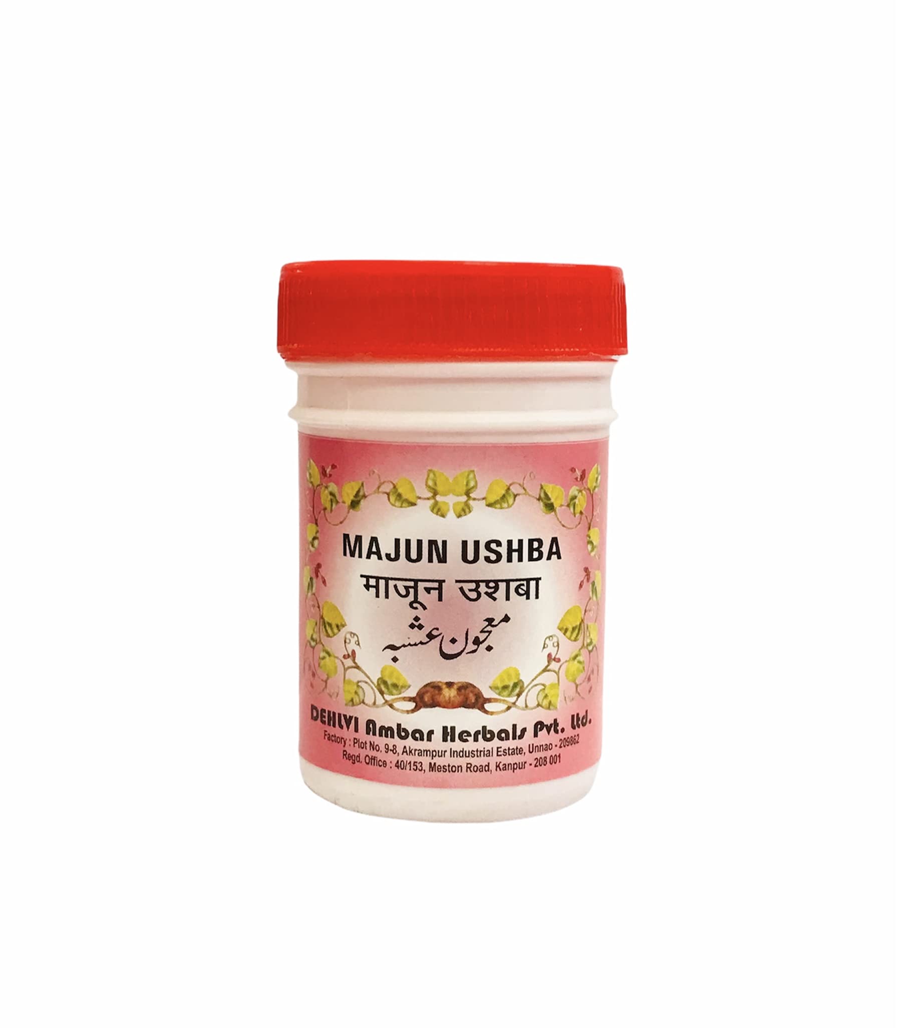 Dehlvi Majun Ushba 250 Gm