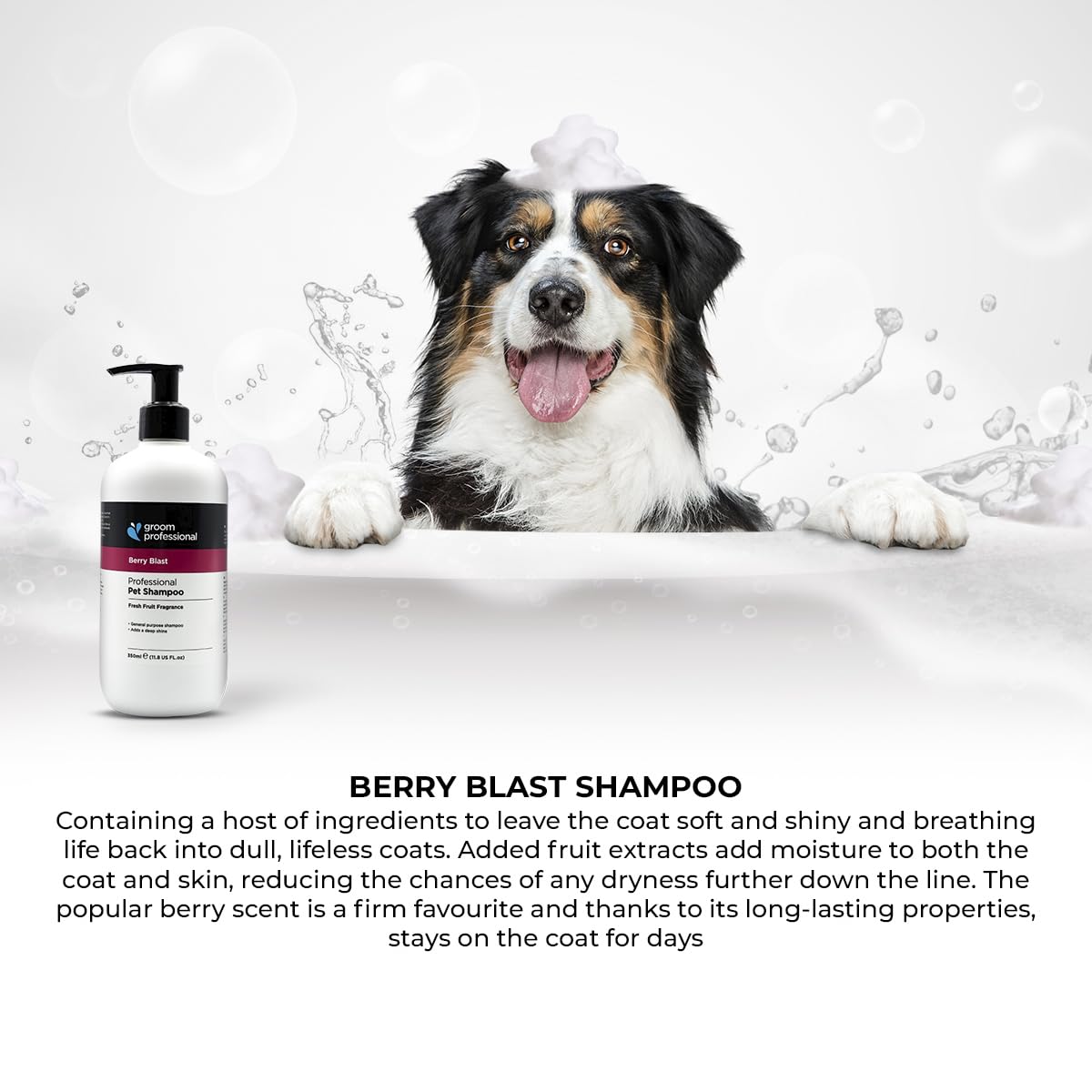 Groom Professional Berry Blast Dog Shampoo (4 L) – Salon Size 10 : 1 Concentrate with Natural Berry Extracts, Deep Cleansing and Moisturising Formula, Restores Shine and Freshness, Made in UK
