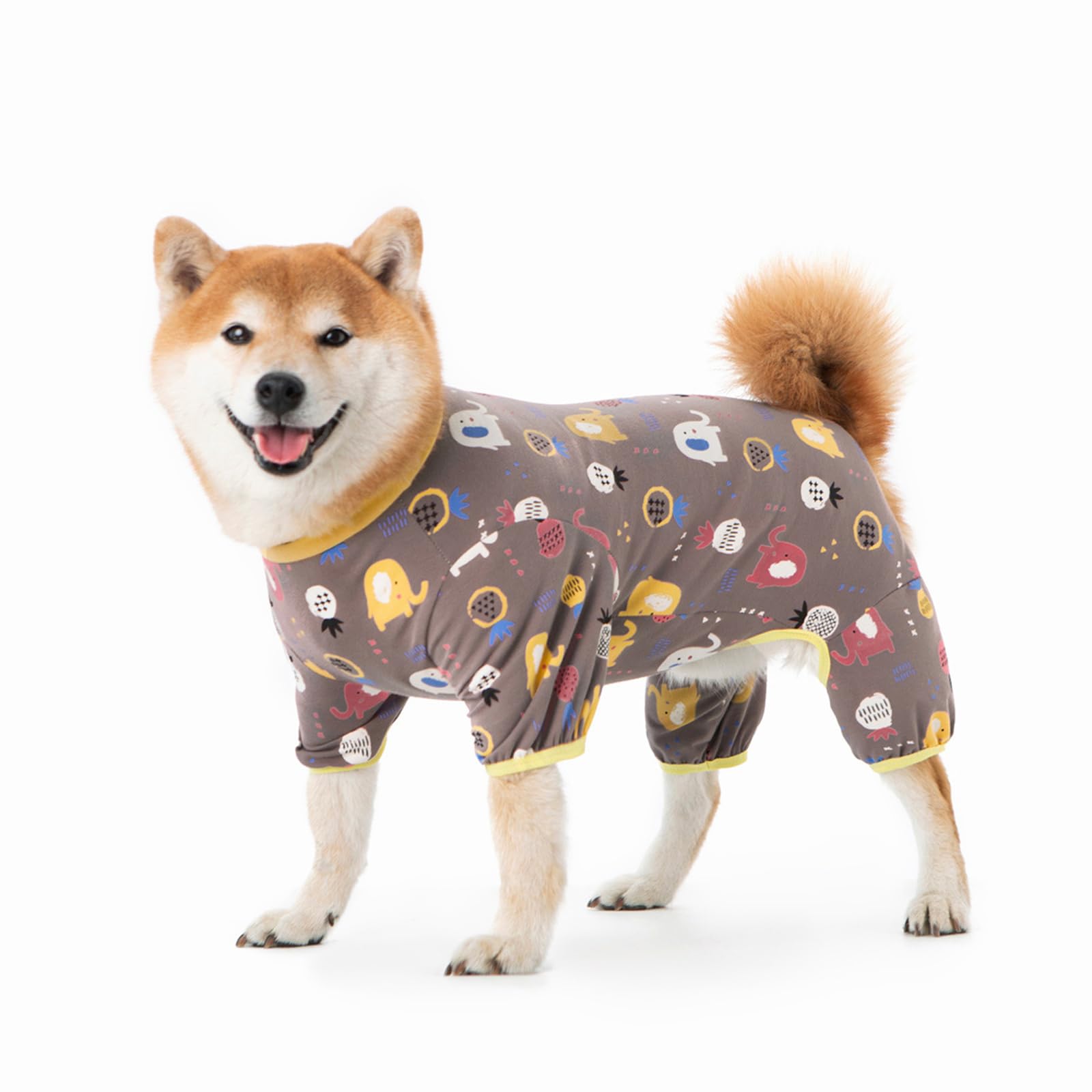 Pyjama à 4 pattes pour grand chien combinaison de protection et convalescence après chirurgie