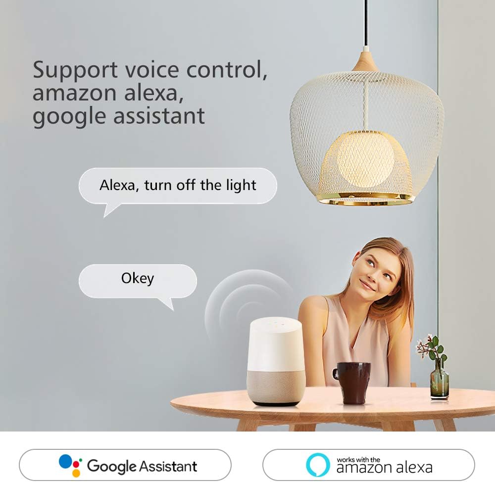 Woman interacting with a smart speaker (Google Home) to control a light, with speech bubbles showing 'Alexa, turn off the light' and 'Okay'.