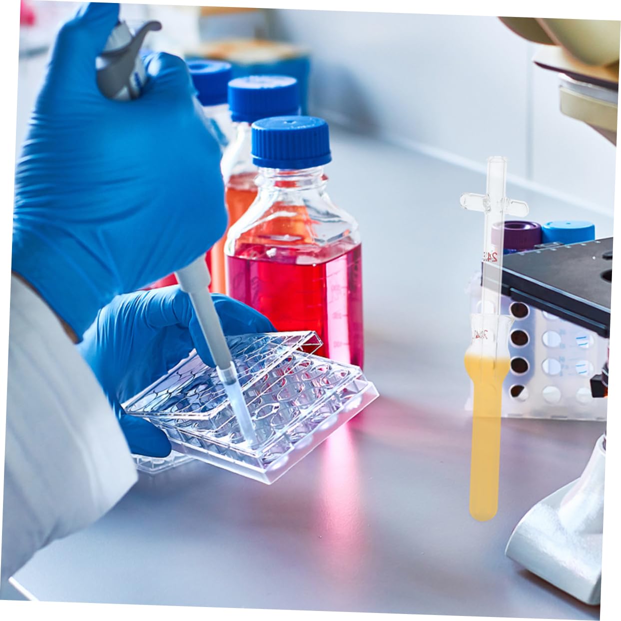 Cabilock 4 Sätze Gewebeschleifer Schleifen Experiment Homogenisator Stößel Gewebezerkleinerer Aus Glas Zubehör Für Laborgläser Glaswaren Ausprobieren Transparent 2 Stück * 4
