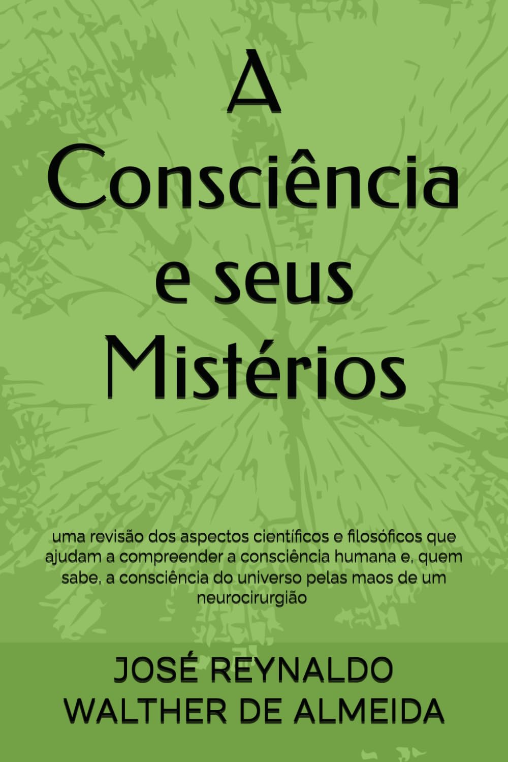 A CONSCIÊNCIA E SEUS MISTÉRIOS