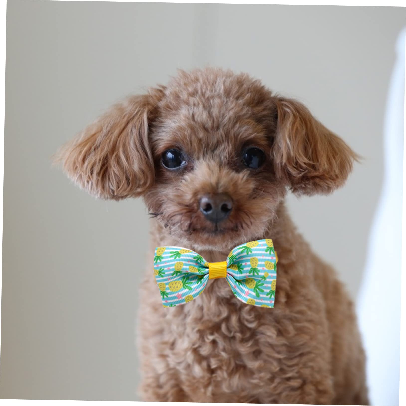 Amosfun 48stücke Teiliges Verstellbare Hundehalsbänder Mit Bunten Fliegen Für Kleine Und Mittelgroße Hunde Für Partys Hochzeiten Und Fotoshootings Langlebig Und Komfortabel