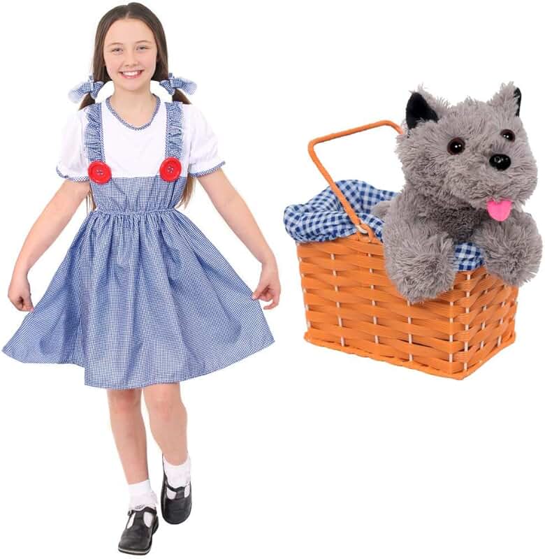 Amazon.co.uk wizard of oz fancy dress