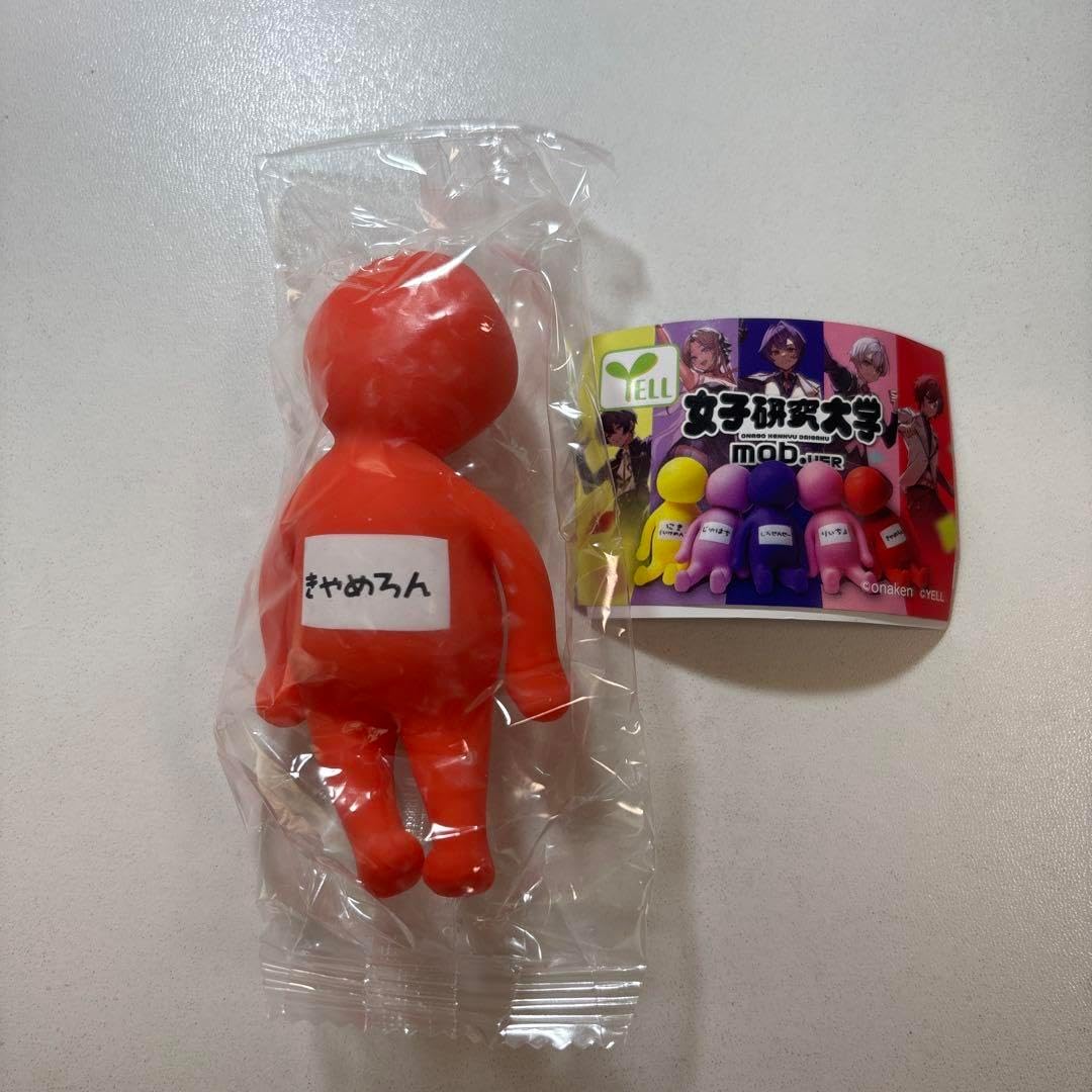 Disney - 専用です(^^) 女子研究大学 キャメロン （みんなで誕生日ディズニーに行きます