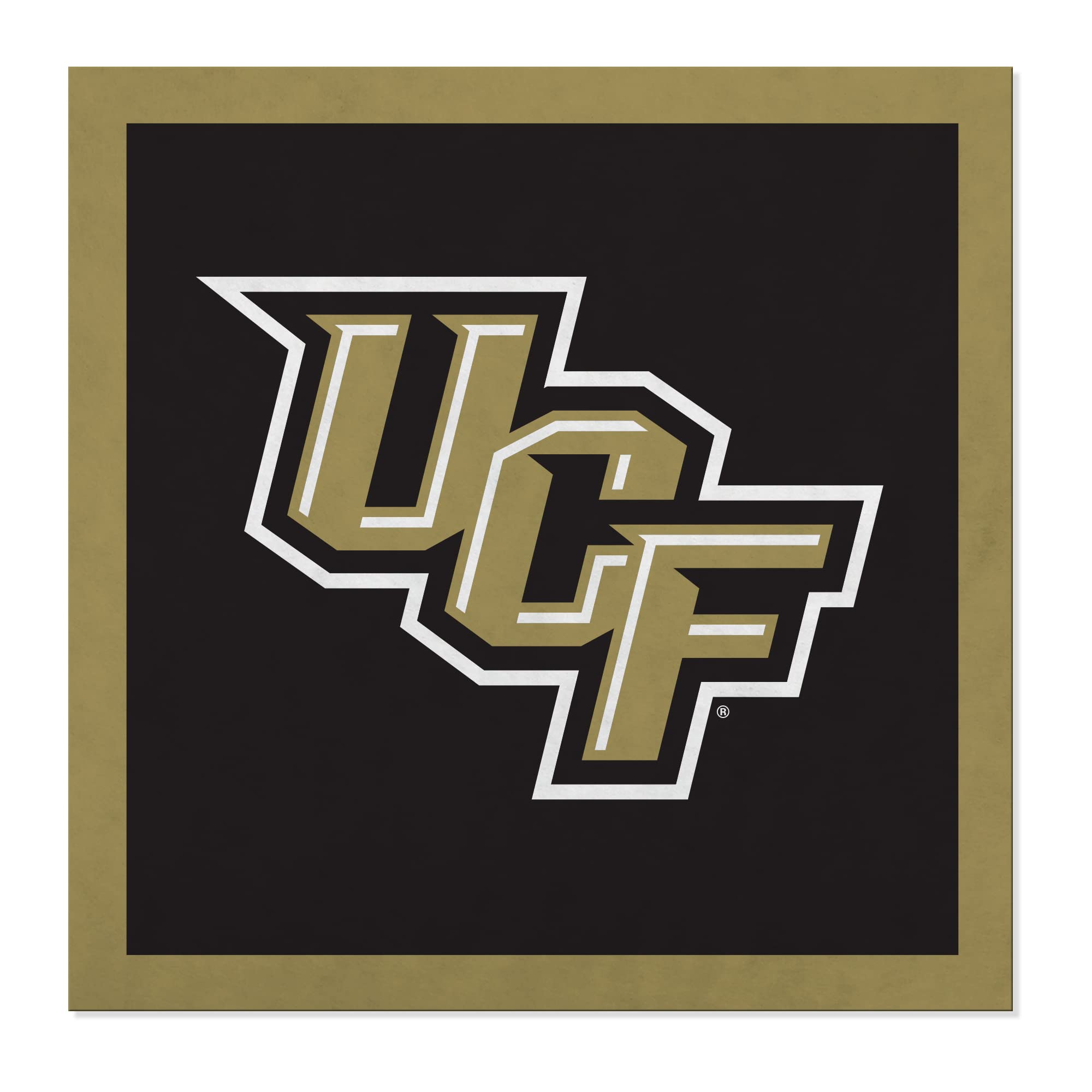 Rico Industries NCAA Central Florida Knights - UCF UCF Standard 23