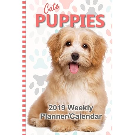 2019 Weekly Planning Calendar