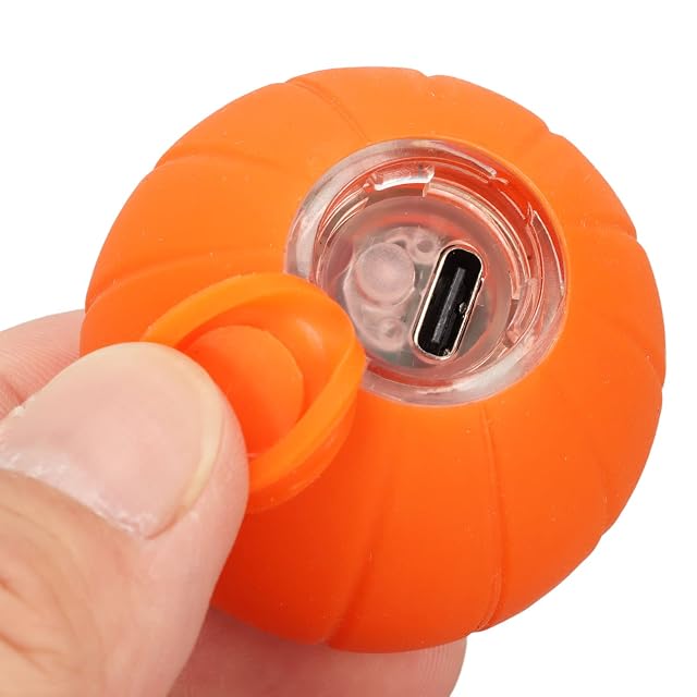 Foto 5 de 8 de Aeun Pelota Automática para Gatos