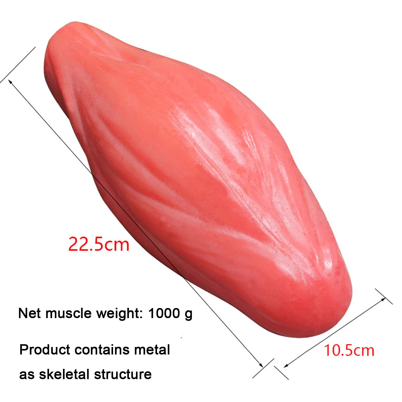 Modello di Replica dei Muscoli del Corpo Umano, Modello Anatomico dei Muscoli Umani da 2 libbre per Appassionati di Fitness, Nutrizionisti, Atleti,Rosa,22cm