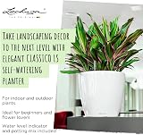 Lechuza Self Watering Plant Pot CLASSICO 43 LS Garden Flower Indoor and Outdoor Plastic Planter with Drainage Hole D43 H40 cm Red High-Gloss - 2