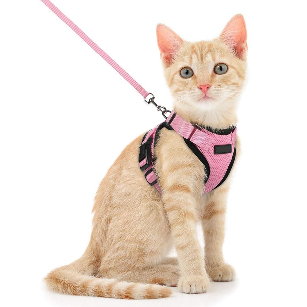 Voarge Arnes Gato, Arnés para Gato Ajustable con Correa de 150cm, Seguridad Arnés de Gato para Pequeño Medio Grande Gato Adulto Cachorros Cat Harness para Caminar Viajes (M, Rosa)