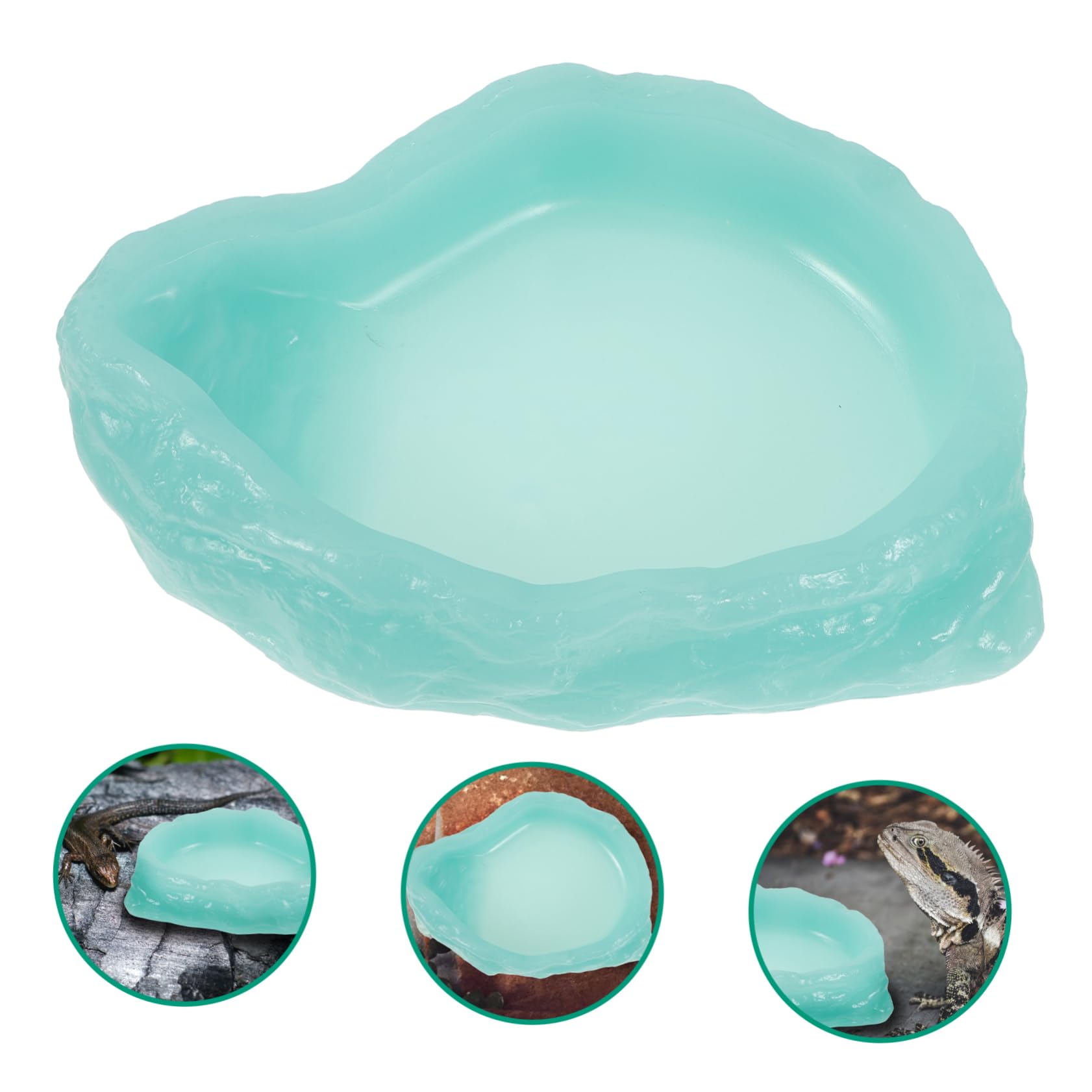 Plato Alimentador Luminiscente para Reptiles Tazón para Comida y Agua para Tortugas Resistente La Alimentación Nocturna