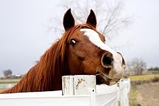 Review Image by Butter Bud Butter Bud