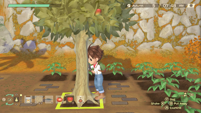 Story of Seasons: A Wonderful Life: Bachelor Gift Guide