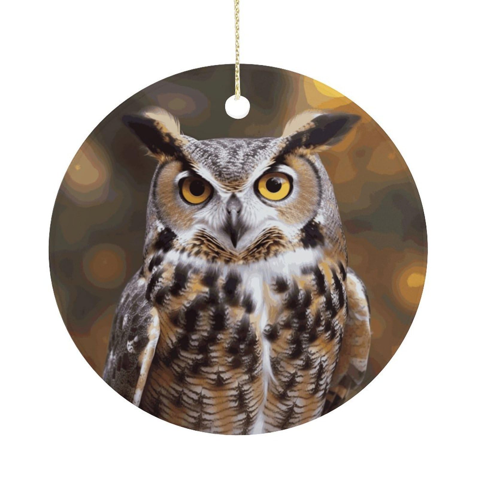 Owl Birds Christmas Ornaments Colorful Round Ceramic Ornament Christmas Hanging Decor Christmas Tree Decorations Xmas Keepsake for Women Men Xmas Holiday Party
