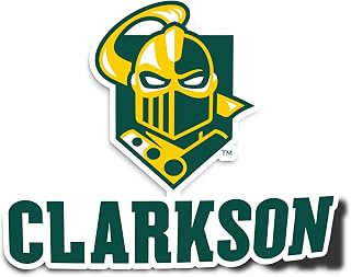 Desert Cactus Clarkson University Sticker Golden Knights Vinyl Decal Laptop Water Bottle Car Scrapbook (IND 00006A)