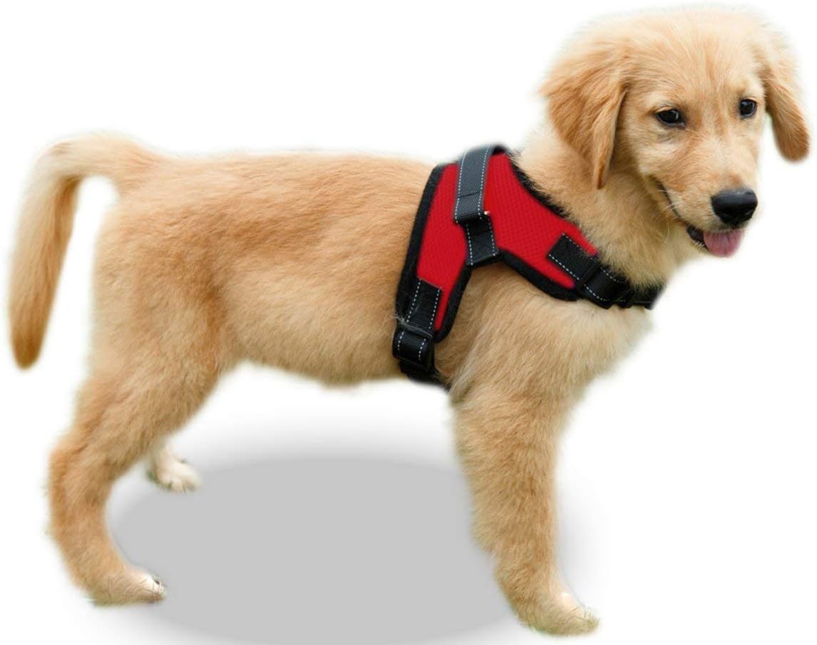 No Pull Reflective Adjustable Dog Harness with Handle- Comfortable Soft All Weather Mesh, Easy On Puppy Harness for Small Medium and Large Dogs (Red) Small